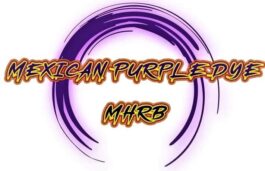 Mexican Purple Dye MHRB